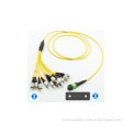 PM MPO Jumper Fiber Optic